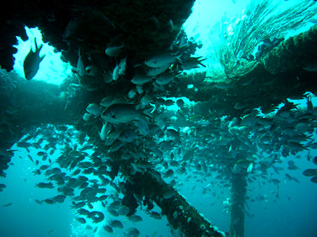 1101hatsushima.jpg