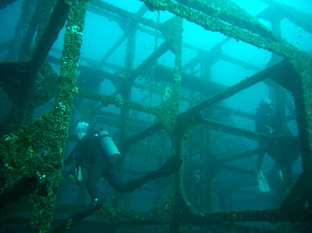 1101hatsushima2.jpg