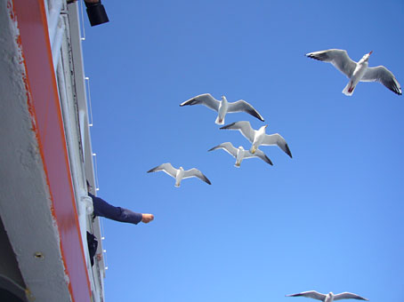 1101hatsushima4.jpg