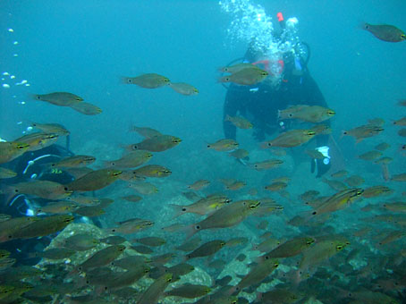 111120ose2.jpg