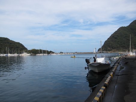 141010arari.jpg