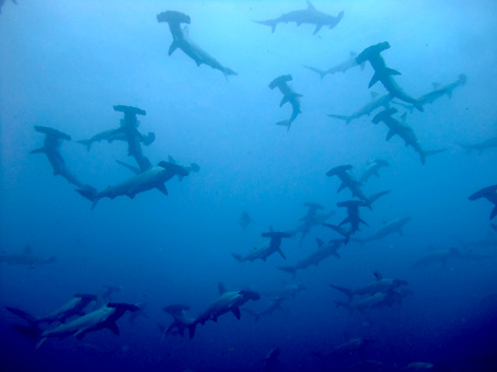 20110704.2.jpg