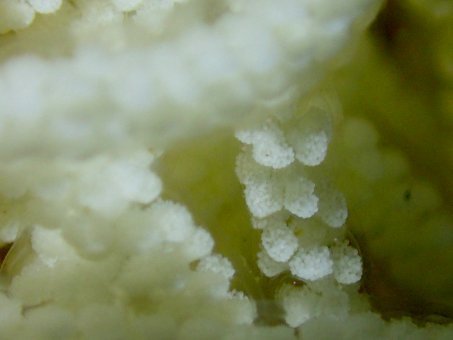 0508suzaki2.jpg