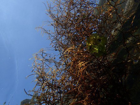 0508suzaki8.jpg