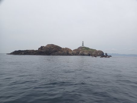 0509mikomoto3.jpg