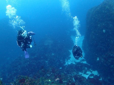 0516mikomoto6.jpg