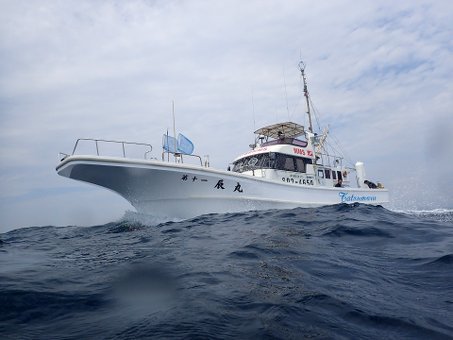 0531mikomoto1.jpg