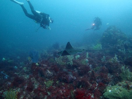 0601tago7.jpg