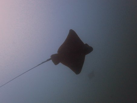 0713tago8.jpg