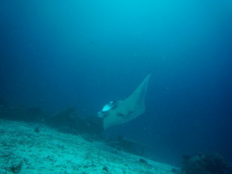 07 palau01.jpg