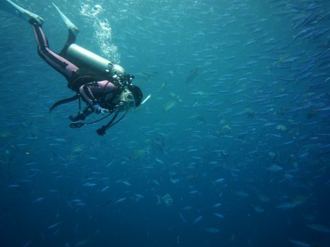 07 palau02.jpg