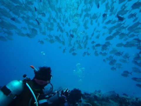 07 palau06.jpg