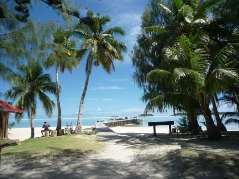 07 palau13.jpg