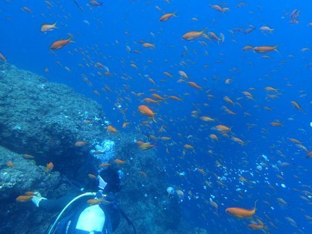 0808tago4.jpg