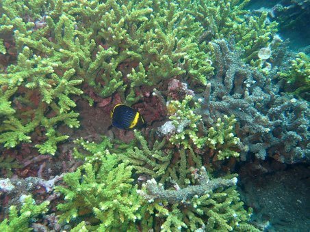 0812tago2.jpg