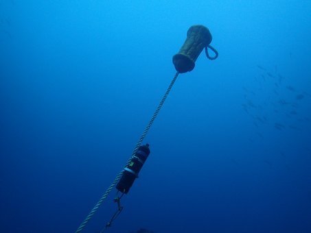 0901mikomoto4.jpg