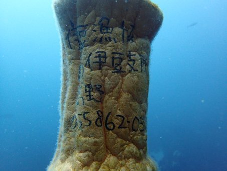 0904mikomoto03.jpg