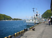 110429arari.jpg