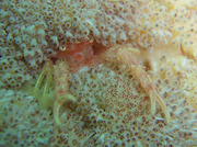 110519ebi.jpg