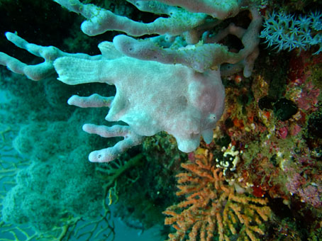 110715omon.jpg