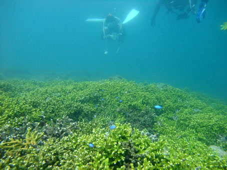 110816tago3.jpg