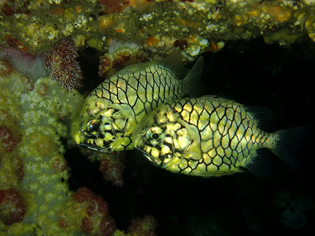 110908kumomi2.jpg