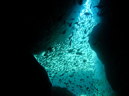 110908kumomi3.jpg