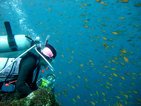 110909tago3.jpg