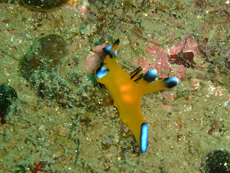 110911tago3.jpg