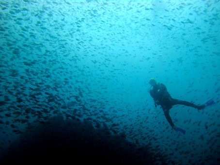 110926tago1.jpg