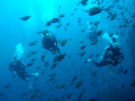 111022tago3.jpg