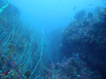 111114tago1.jpg