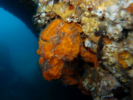 111118kumomi4.jpg