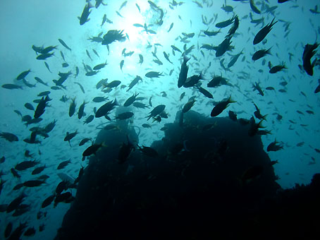 111126tago1.jpg