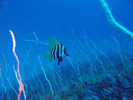 111202tago4.jpg