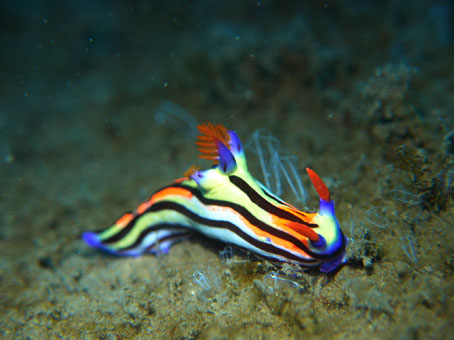 120128tago3.jpg