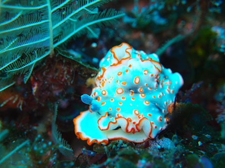 120310tago3.jpg