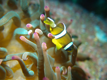 120426kumomi2.jpg