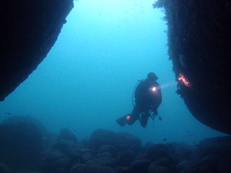 120426kumomi4.jpg