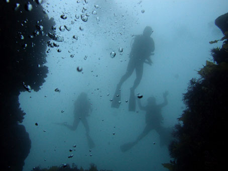 120520mikomoto3.jpg