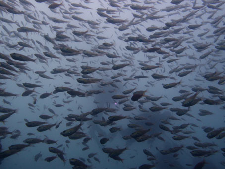120707ito6.jpg