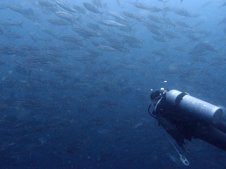 120712ito11.jpg