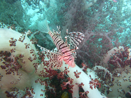 120716tago3.jpg