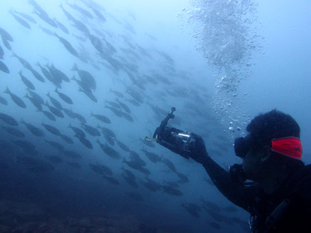 120806mikomoto2.jpg