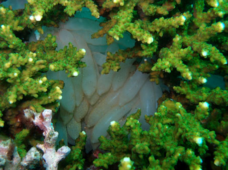 120810tago6.jpg
