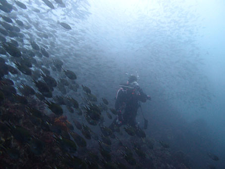 120818tago3.jpg