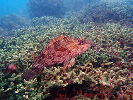1208tago3.jpg