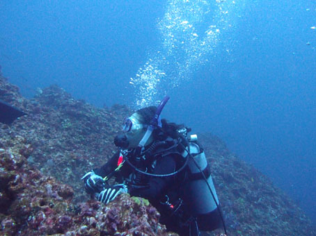 120914mikomoto2.jpg