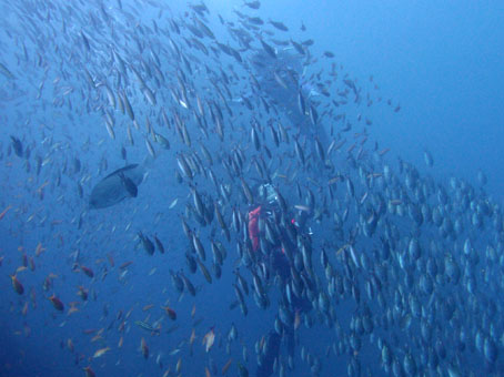 121005tago2.jpg