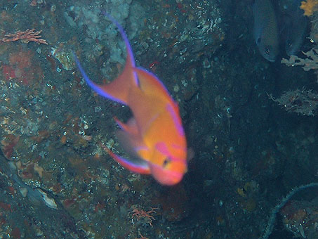 121005tago5.jpg